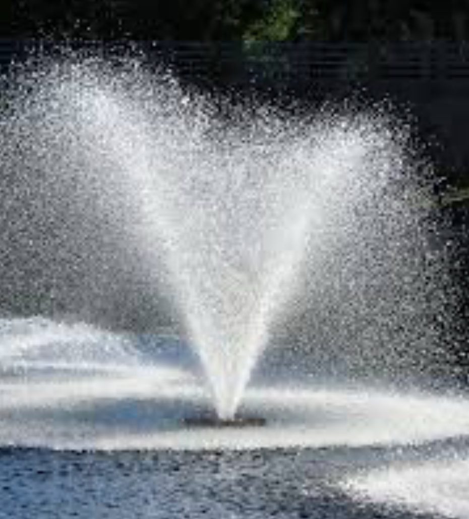 Pond Fountain Pump 1/3 Horsepower/4000 GPH 120v with 100' Electrical Cord - Image 3