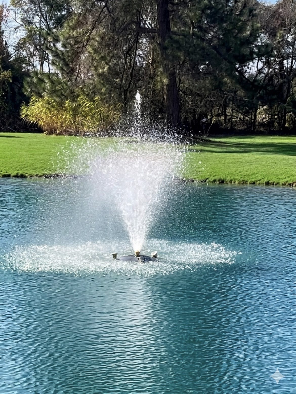Pond Fountain Pump 1/3 Horsepower/4000 GPH 120v with 100' Electrical Cord - Image 8
