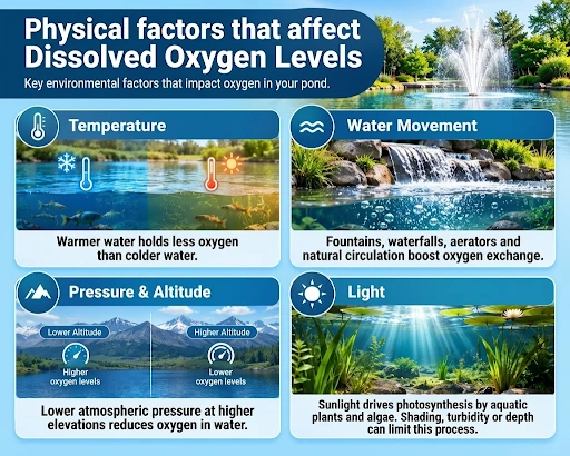 physical factors that affect dissolved oxygen levels