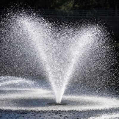 friendly-fountains