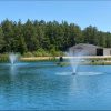 img_6181-2